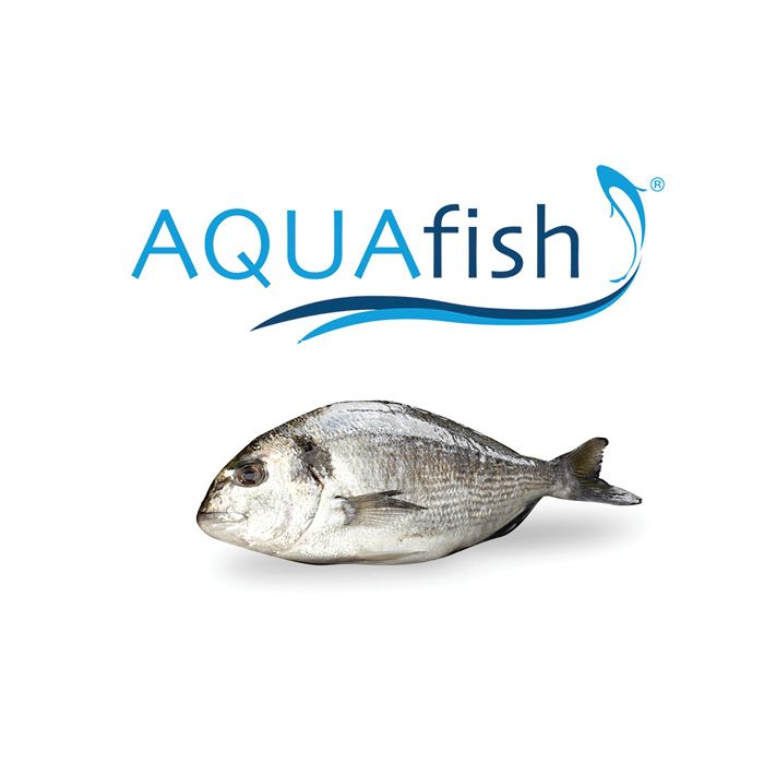 Aquafish