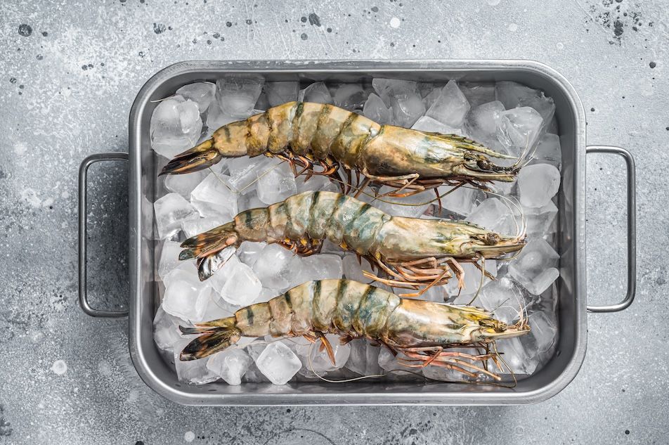 Black Tiger King Prawns JJ Foodservice